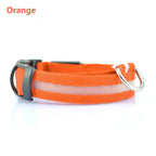 GlowSafe LED Dog Collar – Night Walks Made Easy 1
