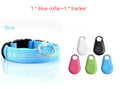 GlowSafe LED Dog Collar – Night Walks Made Easy 1
