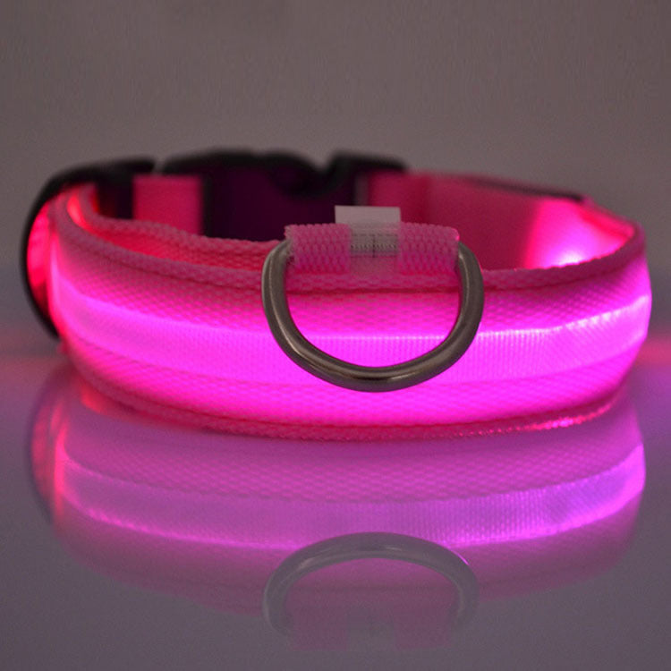 GlowSafe LED Dog Collar – Night Walks Made Easy
