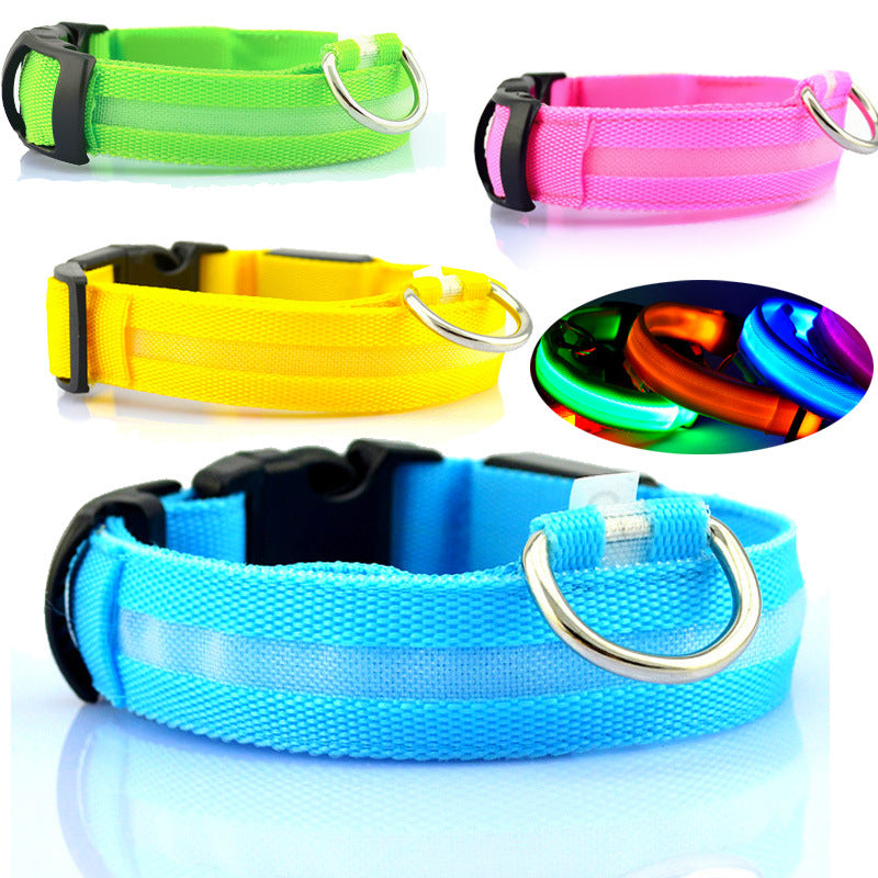 GlowSafe LED Dog Collar – Night Walks Made Easy