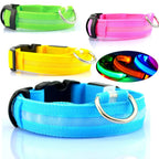 GlowSafe LED Dog Collar – Night Walks Made Easy 1