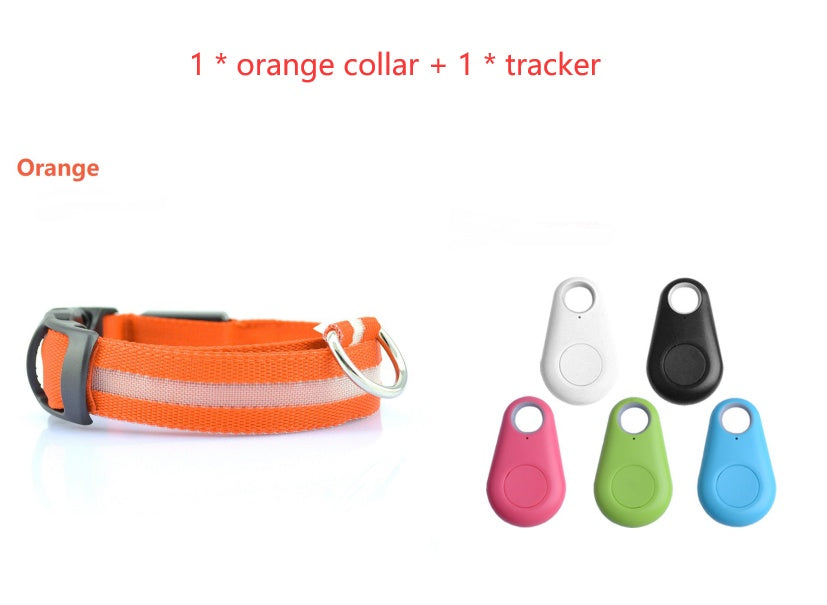 GlowSafe LED Dog Collar – Night Walks Made Easy