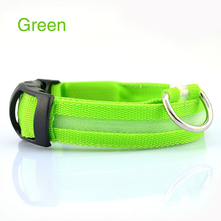 GlowSafe LED Dog Collar – Night Walks Made Easy