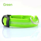 GlowSafe LED Dog Collar – Night Walks Made Easy 1
