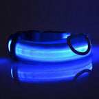 GlowSafe LED Dog Collar – Night Walks Made Easy 1