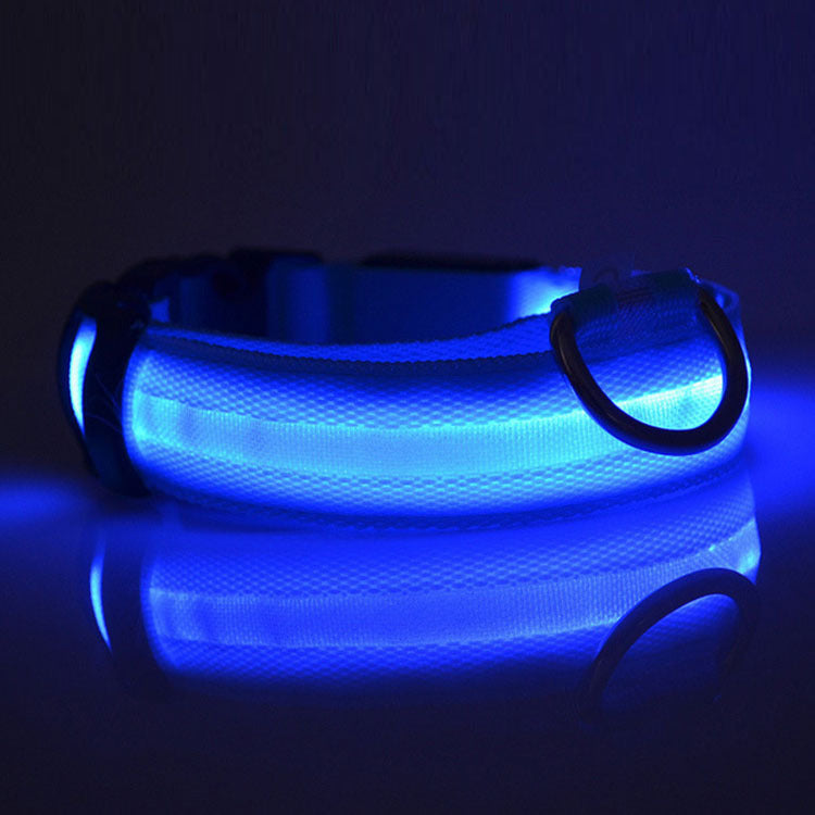 GlowSafe LED Dog Collar – Night Walks Made Easy