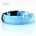 GlowSafe LED Dog Collar – Night Walks Made Easy 1