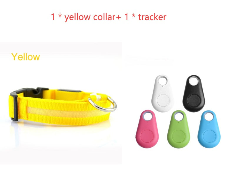 GlowSafe LED Dog Collar – Night Walks Made Easy