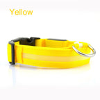 GlowSafe LED Dog Collar – Night Walks Made Easy 1