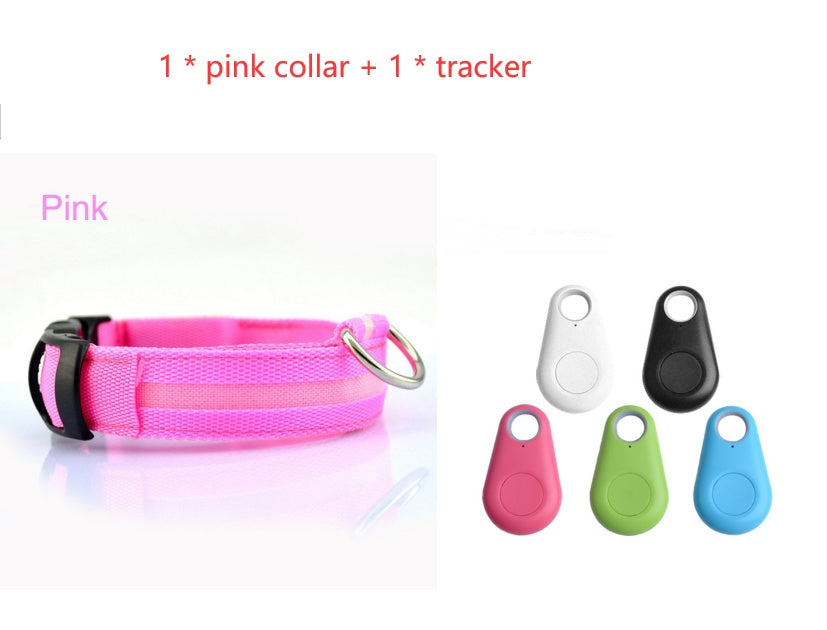 GlowSafe LED Dog Collar – Night Walks Made Easy