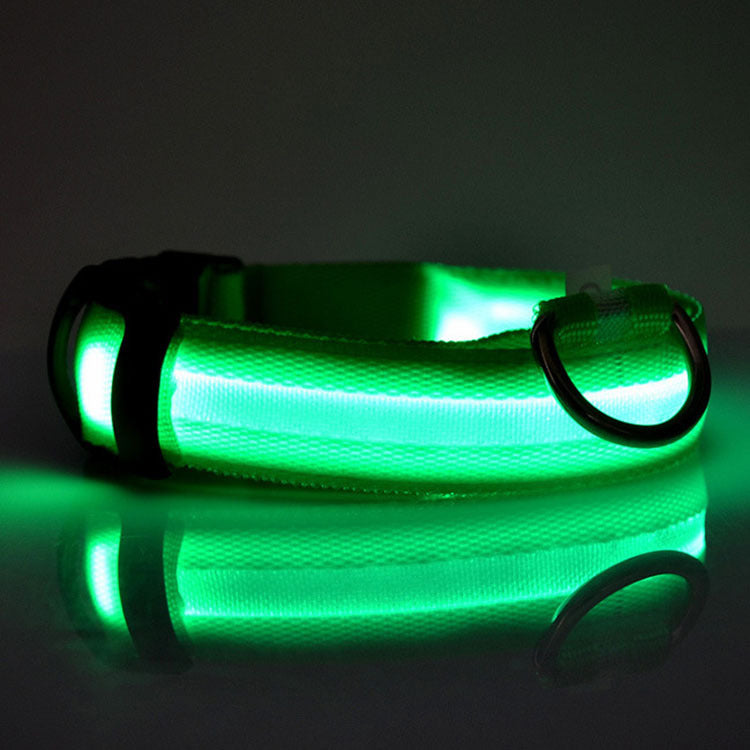 GlowSafe LED Dog Collar – Night Walks Made Easy
